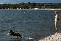 Ráno nás zaskočí chladem a mlhami, odpoledne teploty vyletí. Meteorologové odhalili pondělní vývoj