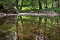 Polovina Česka vadne: Déšť nepomáhá, je tu ale naděje!