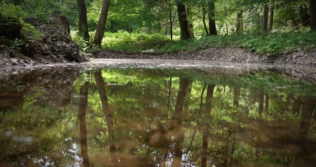 Nová tůň pod Křížovým bukem v Lužických horách má plochu 286 m2.
