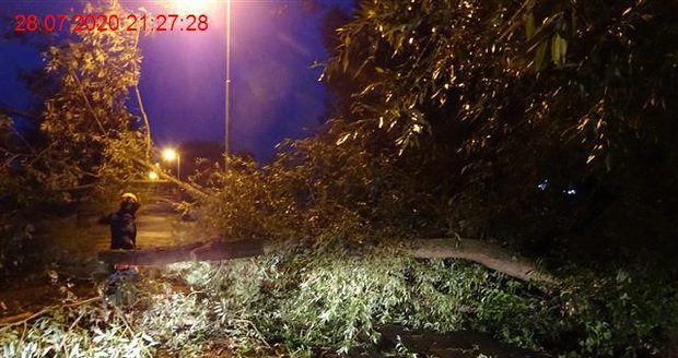 Bouřky vystřídaly tropy: Hasiči odstraňovali vichrem vyvrácené stromy na celém území Brna. (28.7.2020)