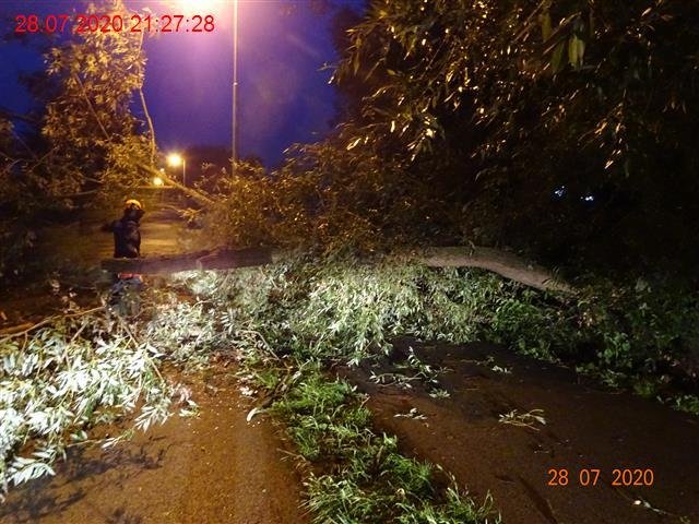 Bouřky vystřídaly tropy: Hasiči odstraňovali vichrem vyvrácené stromy na celém území Brna (28. 7. 2020).