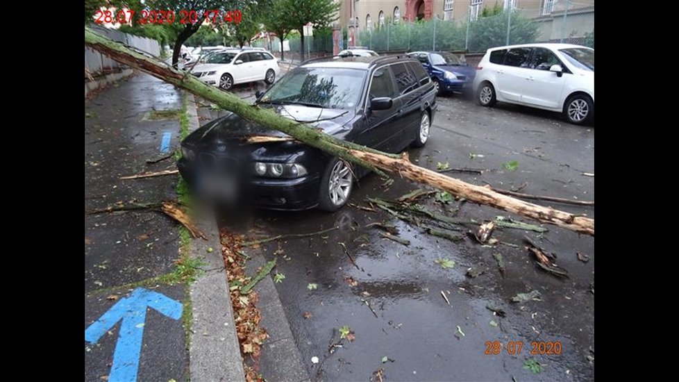 Bouřky vystřídaly tropy: Hasiči odstraňovali vichrem vyvrácené stromy na celém území Brna. (28.7.2020)