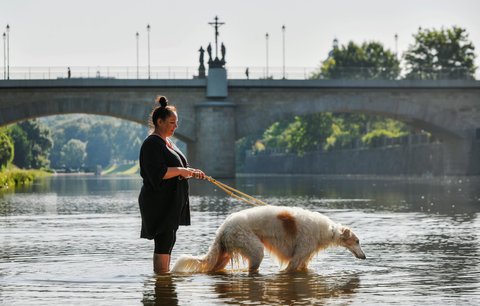 Jak snížit dopad veder? Vědec přidal jednoduché rady. A popsal značnou výhodu Česka