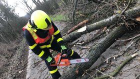 Hasiči na severu Moravy zaměstnala vichřice Sabine. Vyjížděli k popadaným stromům, uvolněným střechám i nehodám.