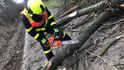 Hasiči na severu Moravy zaměstnala vichřice Sabine. Vyjížděli k popadaným stromům, uvolněným střechám i nehodám.