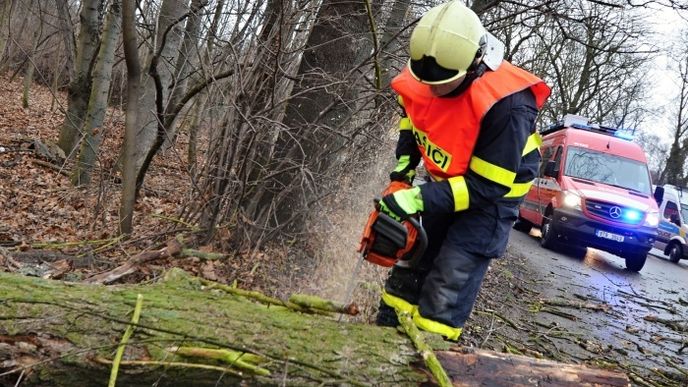 Hasiči na severu Moravy zaměstnala vichřice Sabine. Vyjížděli k popadaným stromům, uvolněným střechám i nehodám.
