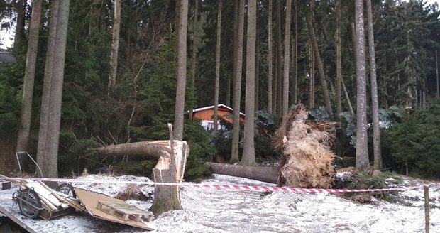 Vichřice se přehnala Velenovem a vyhnala chataře: Staleté stromy popadaly jako sirky