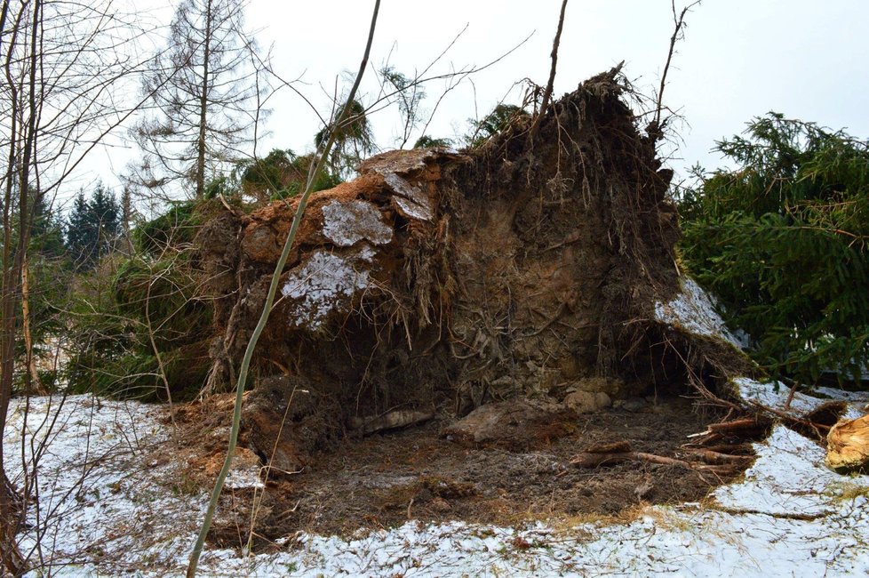 Vichřice poničila část chatové osady Borky a Obůrka mezi Suchým a Velenovem. (archivní foto)