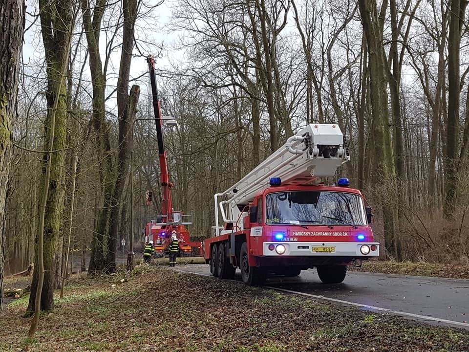 V Konopišti spadl strom na projíždějící autobus.