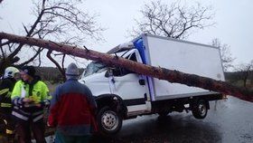 Velké štěstí měla posádka dodávky na Mladoboleslavsku. Na vůz spadl strom, incident se obešel bez zranění.