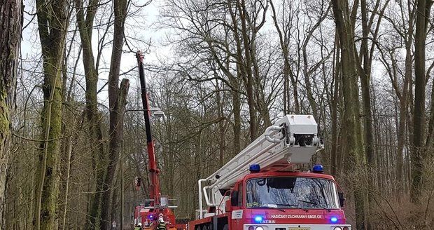 U Olomouce zemřela řidička (†45): Srazila se s hasiči, kteří jeli na pomoc po vichru