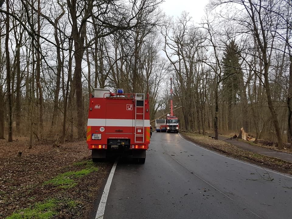 V Konopišti spadl strom na projíždějící autobus.