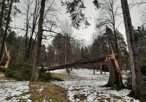 Takhle řádila bouře Sabine v Jeseníku.