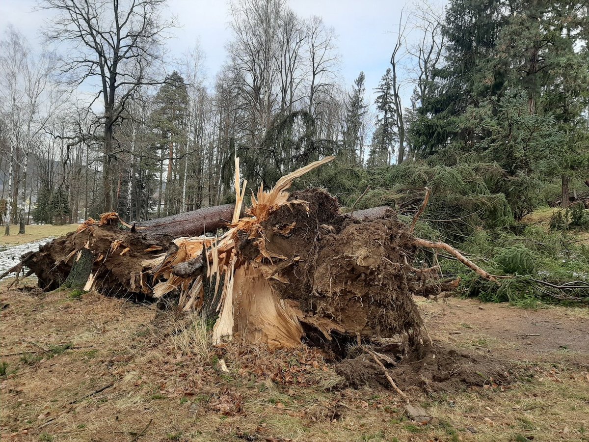 Bouře Sabine se prohnala Smetanovými sady v Jeseníku.