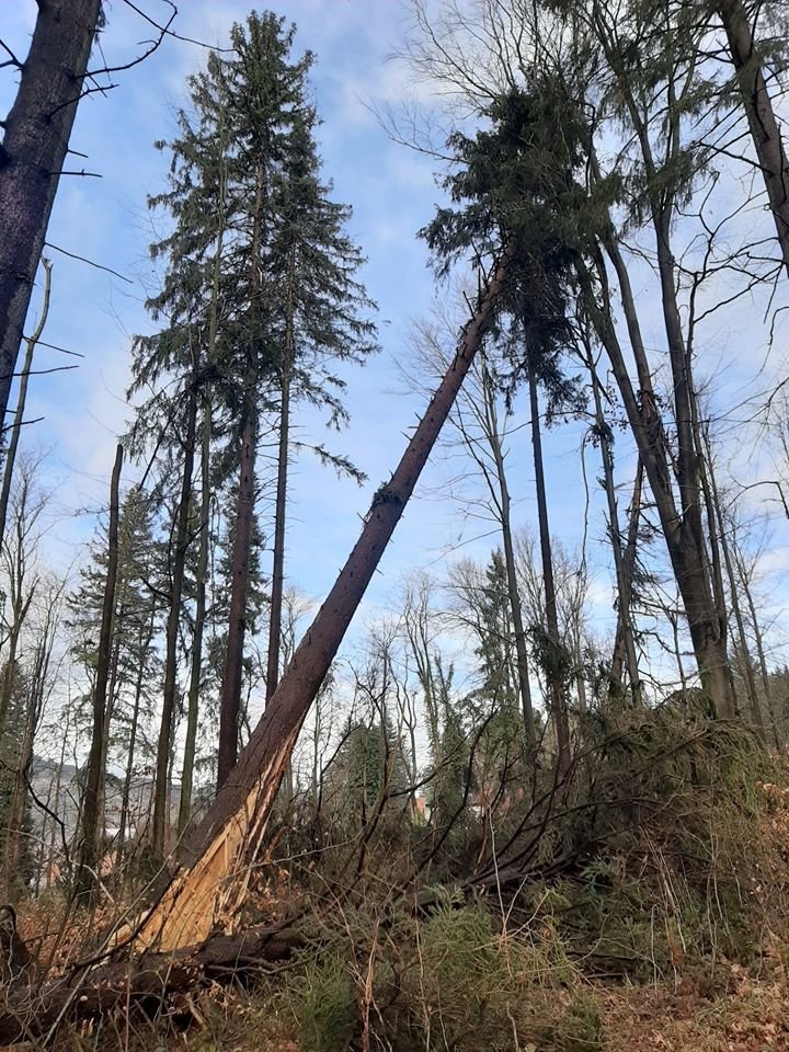 Bouře Sabine se prohnala Smetanovými sady v Jeseníku.