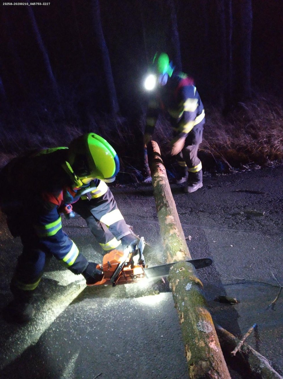 Správa železniční a dopravní cesty řešila desítky popadaných stromů na koleje a trakční vedení.