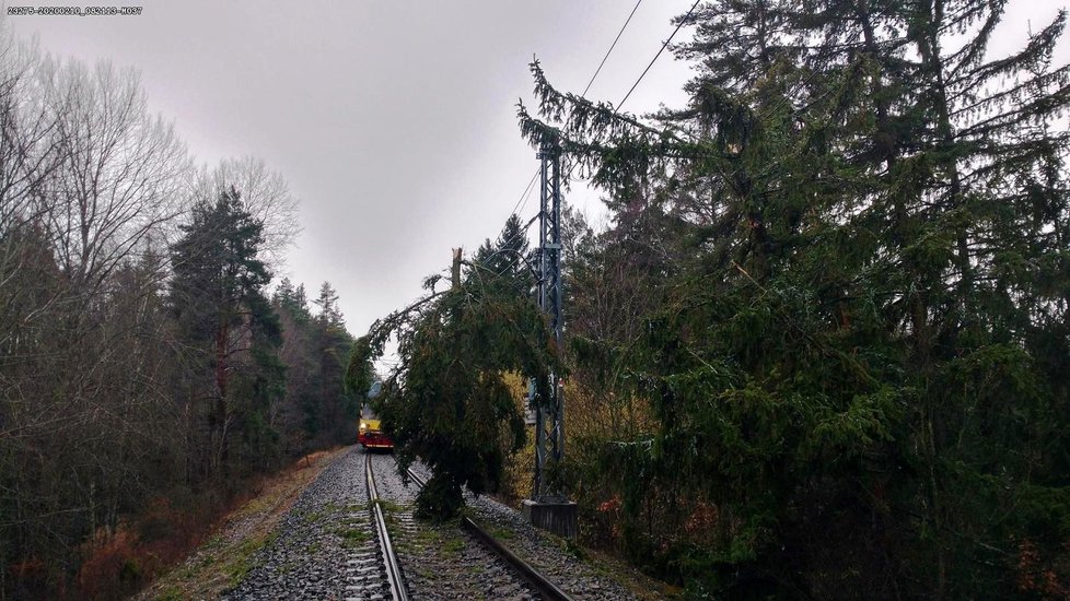 Správa železniční a dopravní cesty řešila desítky popadaných stromů na koleje a trakční vedení.