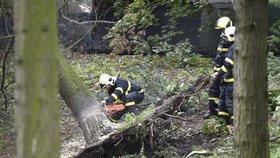 Následky noční bouře a větru odstraňují hasiči i na severní Moravě.