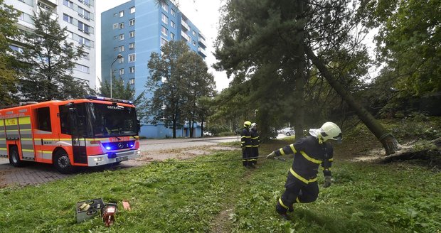 Následky noční bouře a větru odstraňují hasiči i na severní Moravě