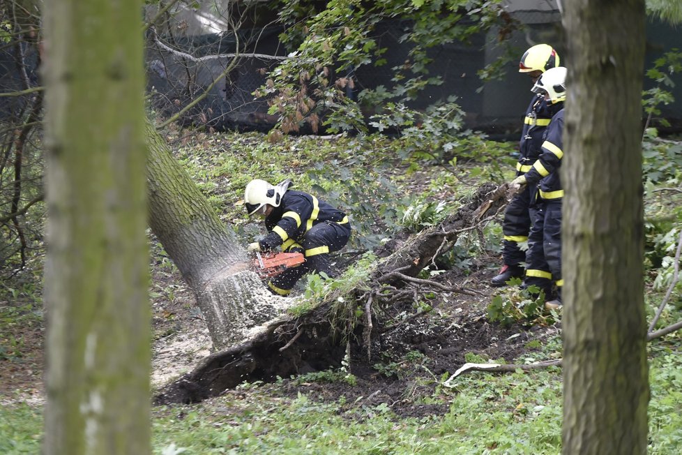 Následky noční bouře a větru odstraňují hasiči i na severní Moravě