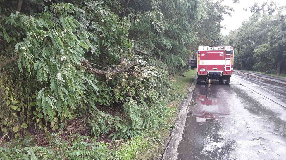 Přes 200 výjezdů měli kvůli bouřkám i hasiči na jihu Moravy. (1.7.2019)