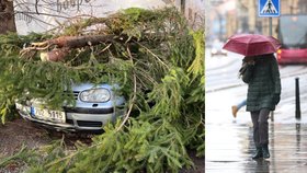 Polární vortex uzamkl zimu a vichřice střídá vichřici: Proč místo sněžení letos jen prší a fouká