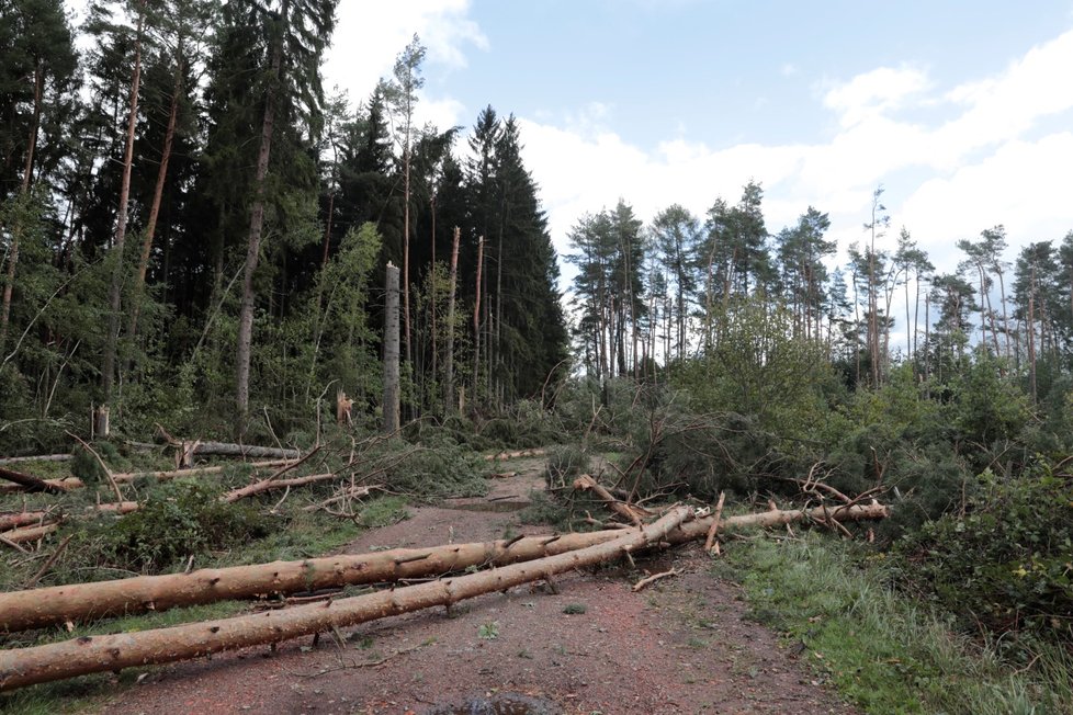 Bouře Freya přinesla nárazy větru o rychlosti 137 km/h i letošní první dvacítku