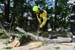 Hasiči odstraňují větve, které 30. září 2019 kvůli silnému větru spadly na silnici ve Valticích na Břeclavsku.