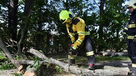 Hasiči odstraňují větve, které 30. září 2019 kvůli silnému větru spadly na silnici ve Valticích na Břeclavsku.