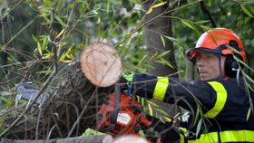 Hasiči odstraňovali následky silného větru v Moravskoslezském kraji (4. 10. 2020)