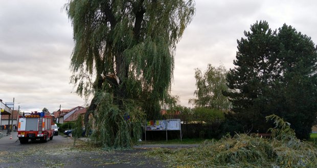 Hasiči odstraňují větve, které 30. září 2019 kvůli silnému větru spadly na silnici.