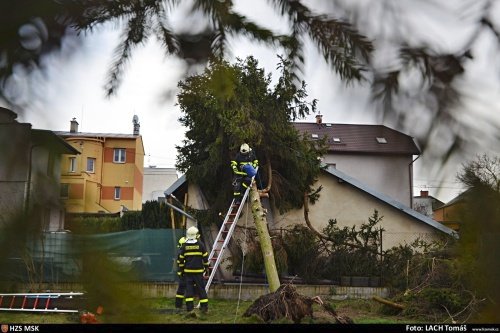 V pondělí kolem poledne zasahovali hasiči v Ostravě-Mariánských Horách v Kubelíkově ulici u vyvráceného smrku, asi 10 metrů vysokého. Zůstal opřený o menší zděný domek.