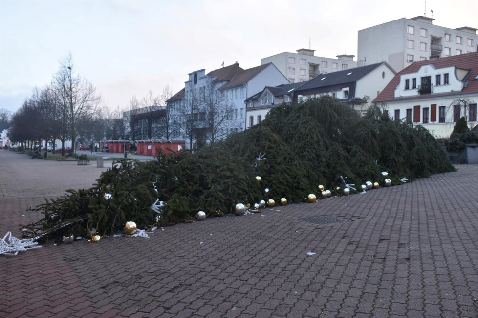 Silný vítr porazil vánoční strom v Litvínově.