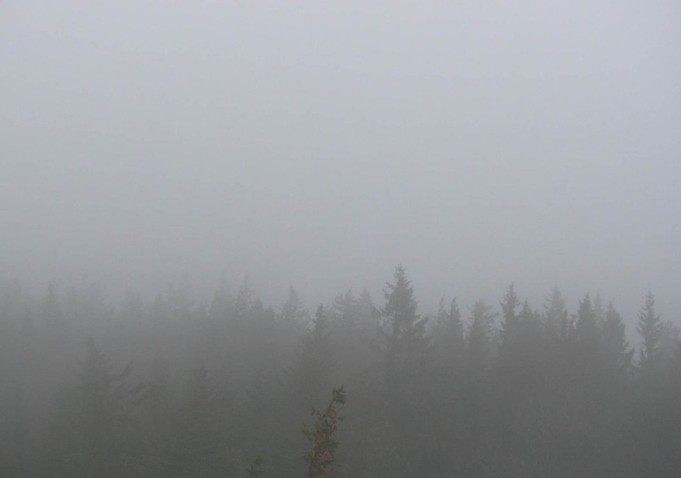 Na Šumavě se v devět ráno nebezpečně nakláněly stromy, mlhu protrhlo kolem desáté sluníčko