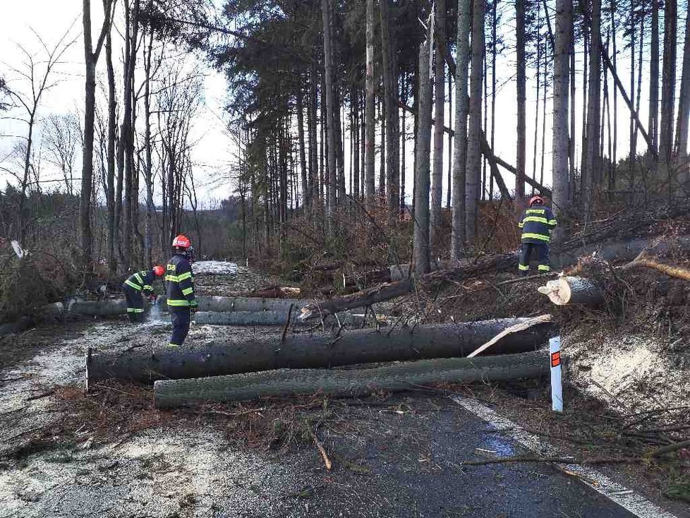 Hasiči vyjížděli na jižní Moravě během dopoledne k 160 zásahům, vesměs k popadaným stromům na silnice a do drátů elektrického vedení.