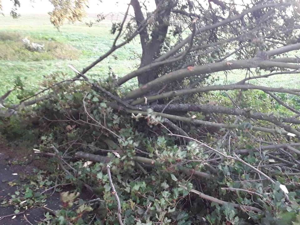 Česko zasáhl silný vítr a lámal stromy (30. 9. 2019)