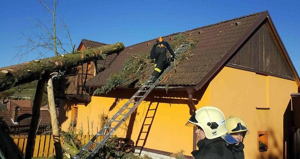 Českem se na konci října 2018 prohnal vichr, lámal stromy