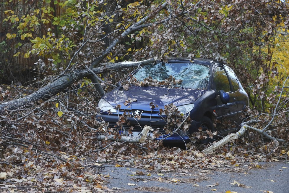 Českem se na konci října 2018 prohnal vichr, lámal stromy