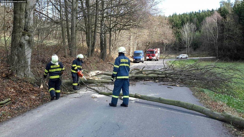 Hasiči zasahovali nejčastěji u stromů, které spadly na silnici.