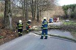 Hasiči zasahovali nejčastěji u stromů, které spadly na silnici.