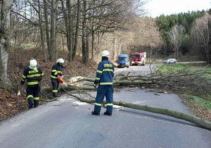 Hasiči zasahovali nejčastěji u stromů, které spadly na silnici.