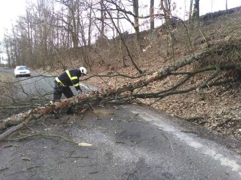 Vichřice Eberhard se prohnala Českem. Situace v Královéhradeckém kraji (11.3. 2019)