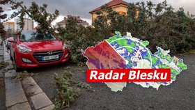 Větrno nekončí: Silný vítr se o víkendu vrátí. V Česku bude až 10 °C, sledujte radar Blesku