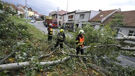 V brněnské ulici Hlavní vichřice ulomila část stromu, který spadl přes silnici a strhl trolejbusovou trolej.