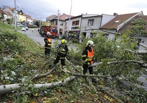 V brněnské ulici Hlavní vichřice ulomila část stromu, který spadl přes silnici a strhl trolejbusovou trolej.