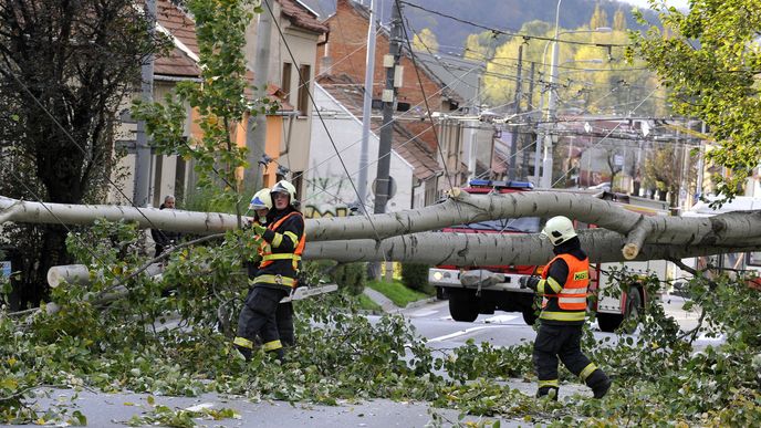 V brněnské ulici Hlavní vichřice ulomila část stromu, který spadl přes silnici a strhl trolejbusovou trolej.