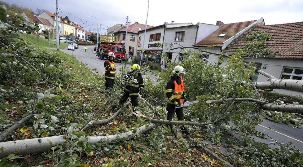 V brněnské ulici Hlavní vichřice ulomila část stromu, který spadl přes silnici a strhl trolejbusovou trolej.