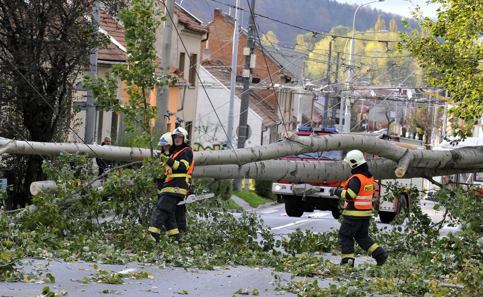 V brněnské ulici Hlavní vichřice ulomila část stromu, který spadl přes silnici a strhl trolejbusovou trolej.