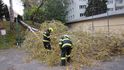Vichřice v Česku: Silný vítr potrápil i hasiče ve Zlínském kraji