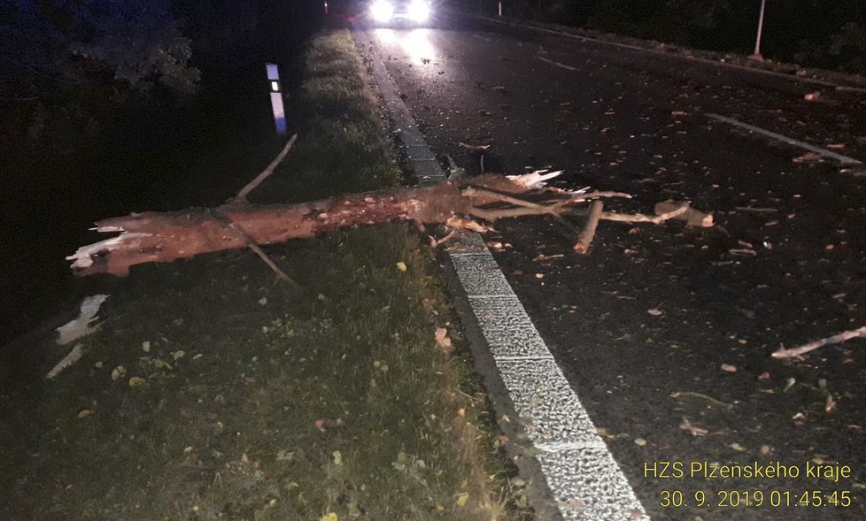 Na Klatovsku, Tachovsku, Domažlicku a Plzni-sever vyjížděli hasiči již více než k 50 případům spojených se silným větrem.